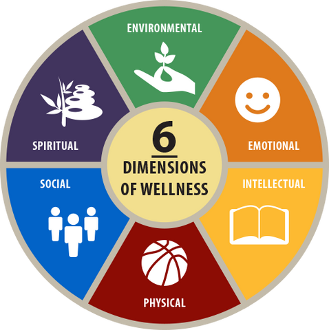 Wheel of wellness