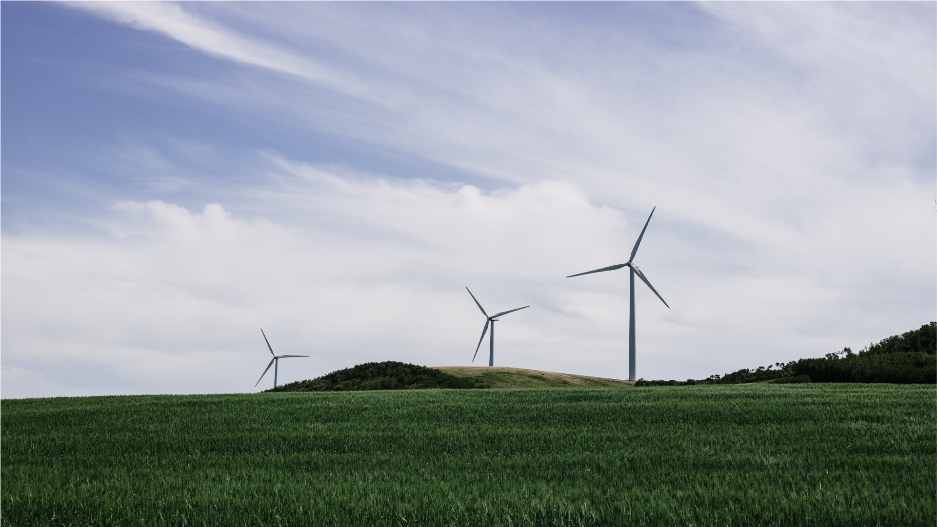 renewable energy windmills in a carbon positive world