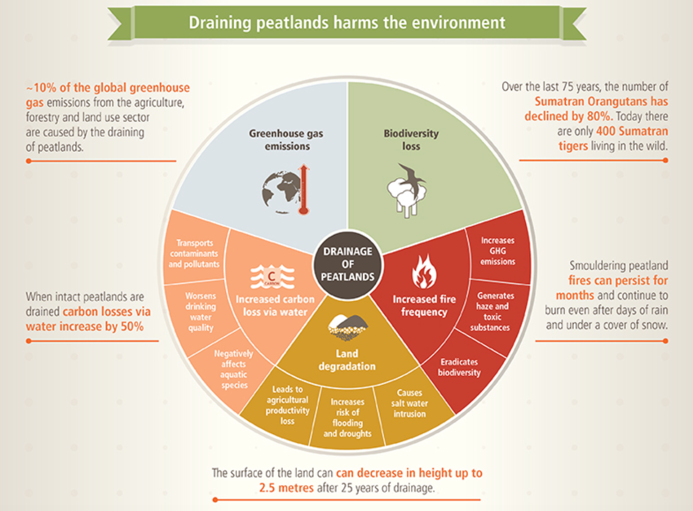 Peatland Conservation Infographic