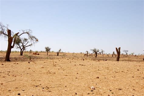 Desertification in Sudan
