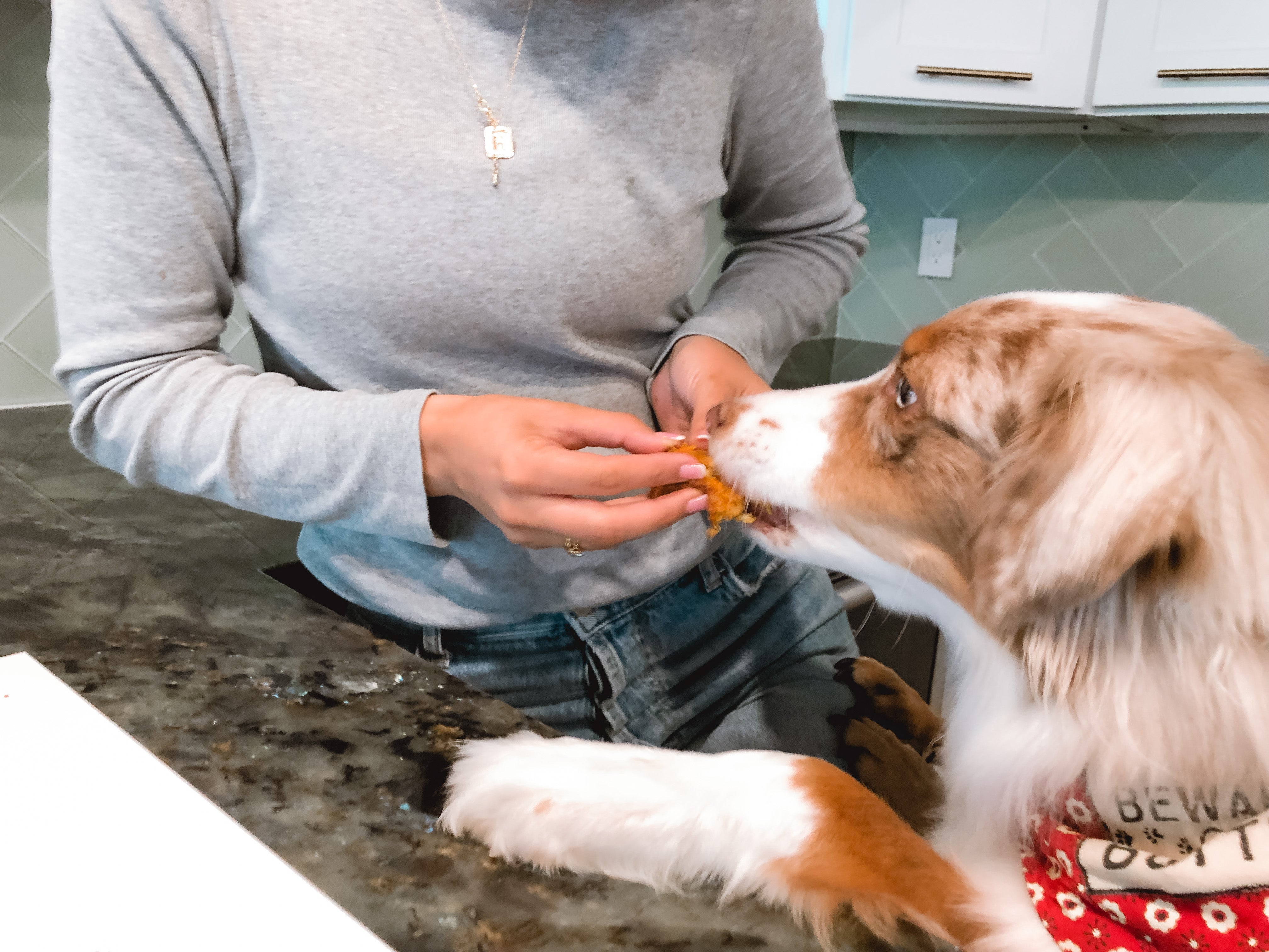 heathy homemade Cupcakes for you and your dog