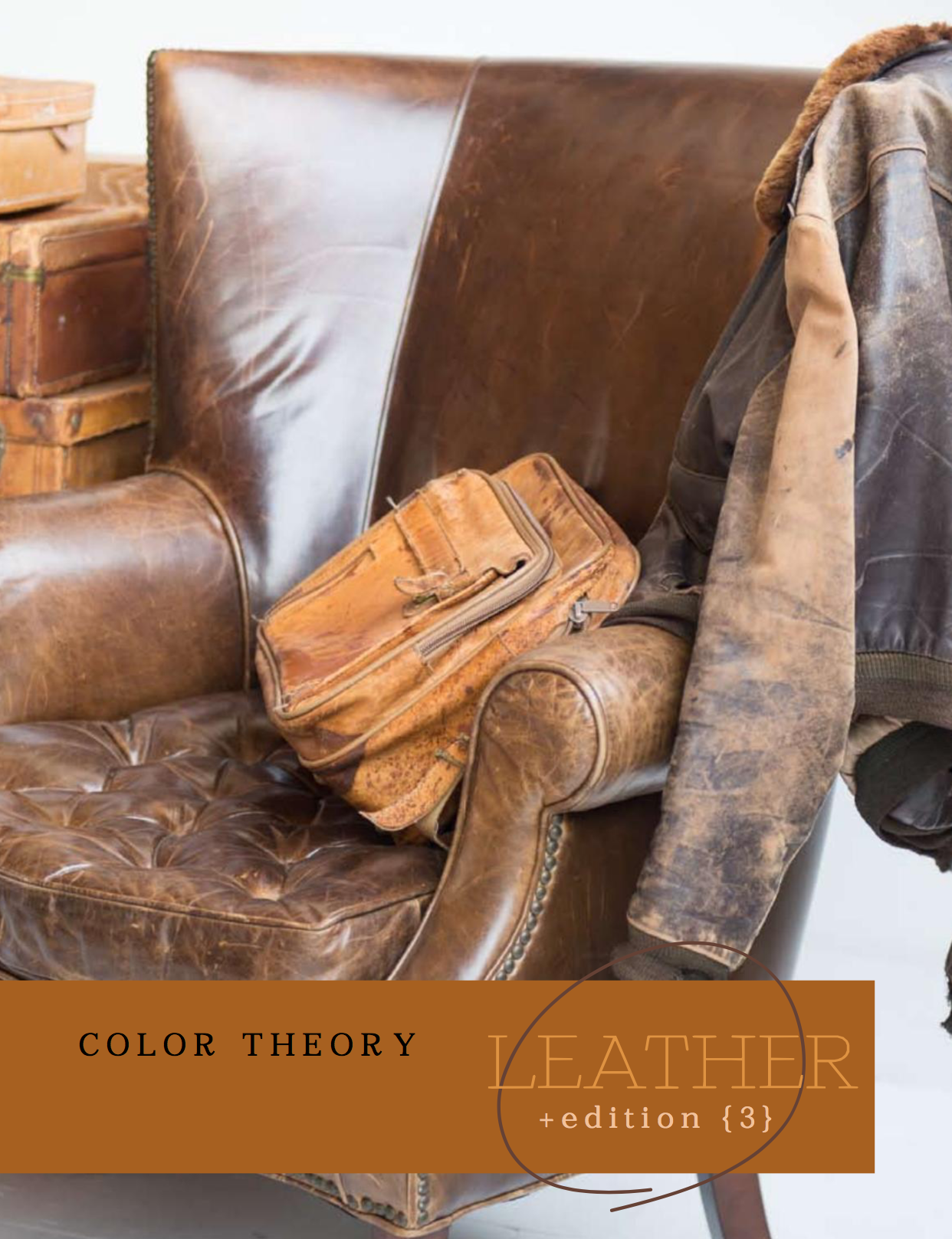 COLOR THEORY // LEATHER