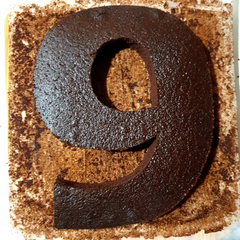 Number 9 cake cutout from square 12" pan