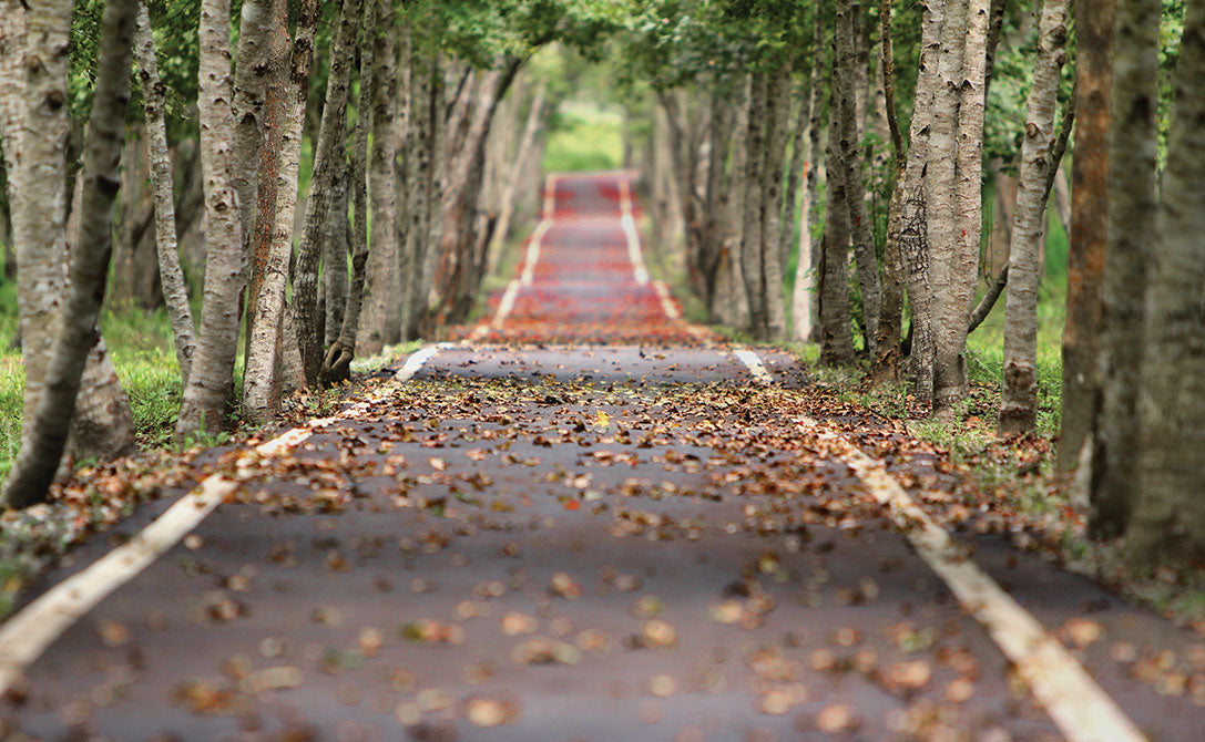 park for running with running shoes