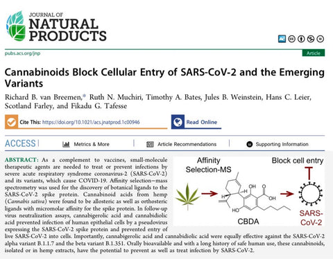 Image of study abstract