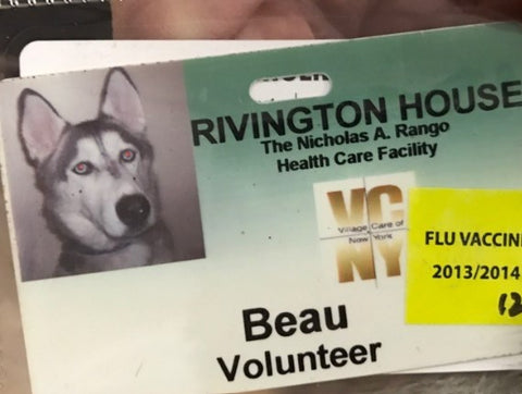 Beau's id from the Rivington House