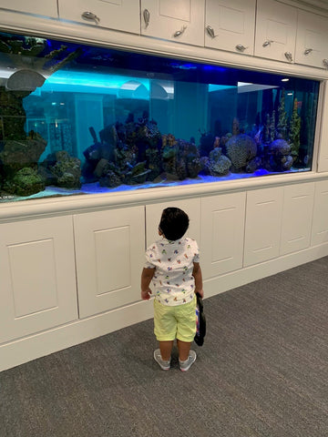 Elias and the fish tank