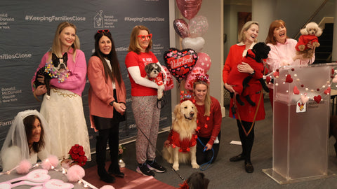 puppies and volunteers in costume