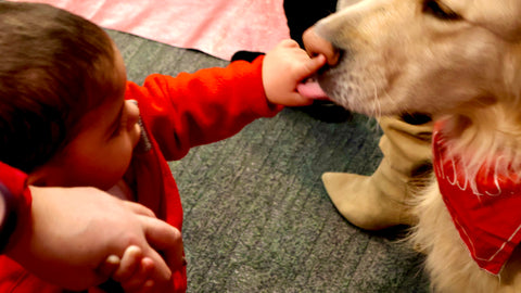 playing with the doggy's nose