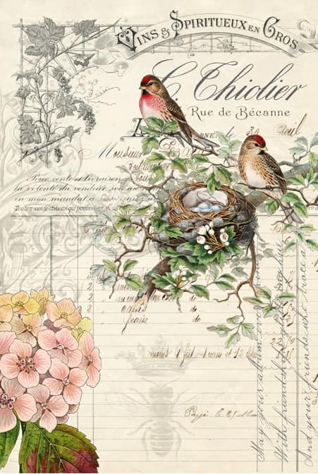 Bird Ephemera by Roycycled Treasures Decoupage Paper #3