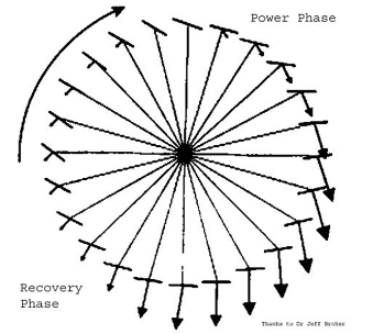 Cycling Clock Diagram, Pedal strike forces according to Dr. Jeff Broker 