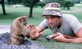 Golf Blog | Caddyshack Bill Murray