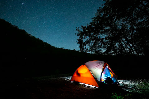 A tent in the middle of the forest