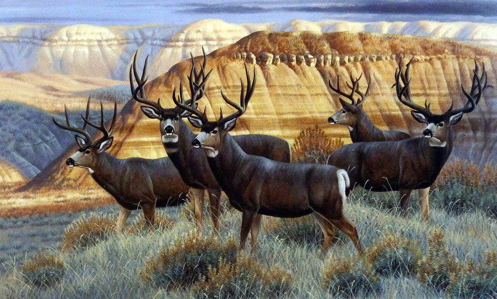 deer paintings
