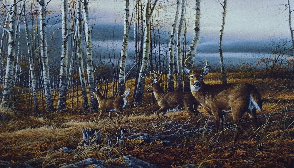 Redlin deer birch whitetail wildlifeprints hunting bucks