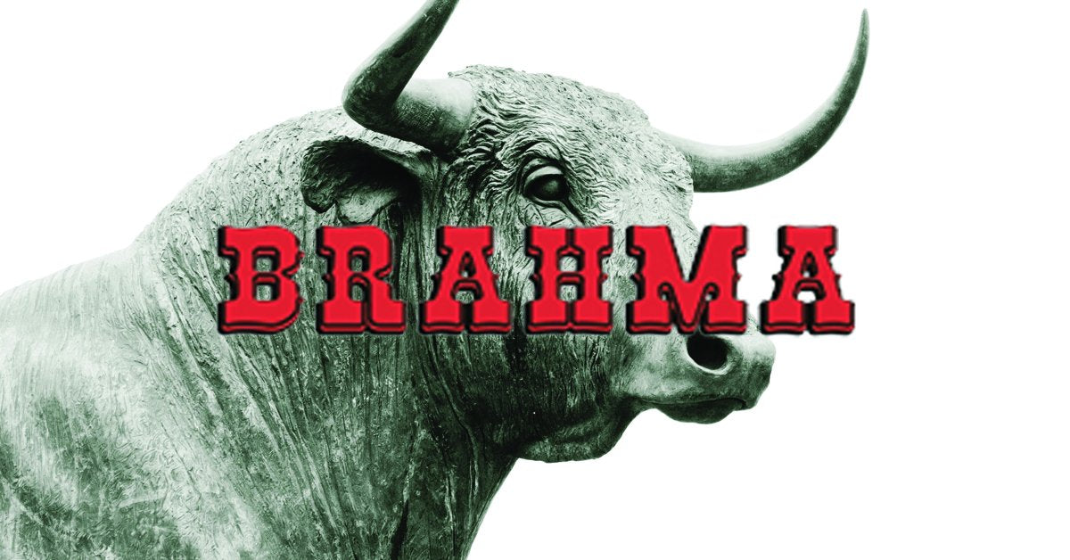 Brahma Sexual Enhancement