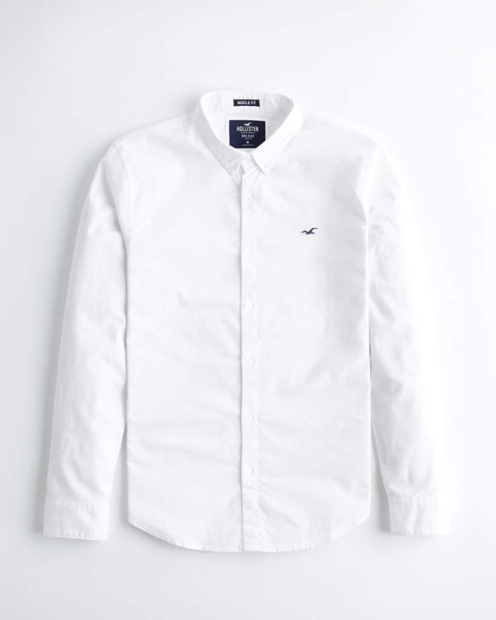 stretch oxford muscle fit shirt hollister