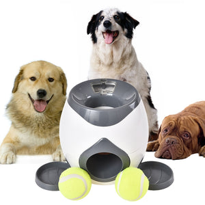 self throwing ball machine for dogs