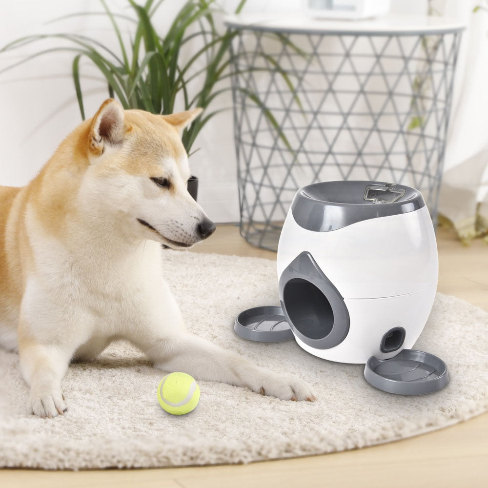 automatic throwing machine for dogs