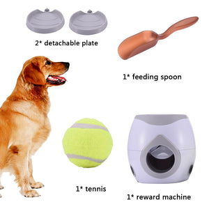 automatic throwing machine for dogs