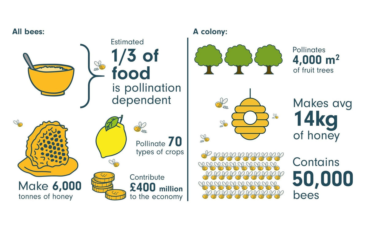 Why bees are so important Just Bee Honey Blog