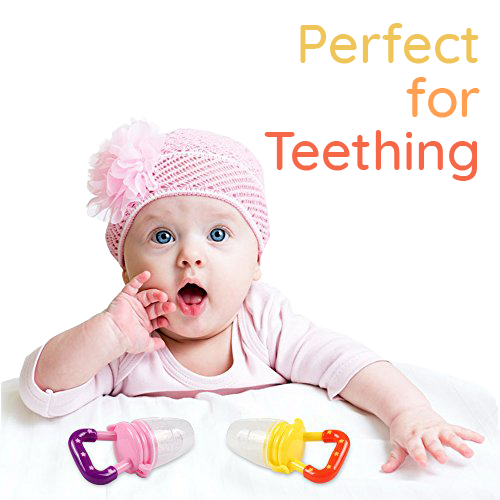 Perfect for Teething Food Pacifier