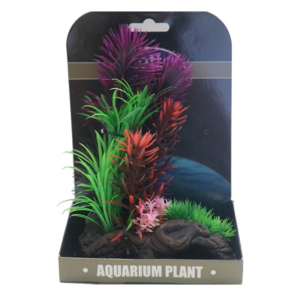 A Guide to Aquascaping and Choosing the Right Aquarium Plants by NT Labs