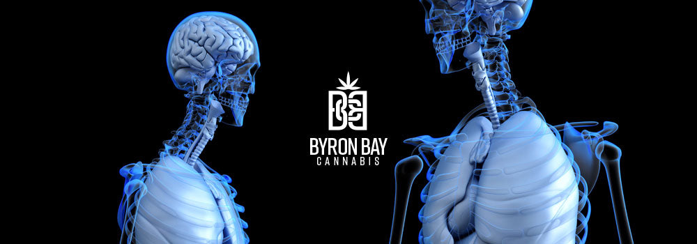 Pain cream-Byron Bay Cannabis