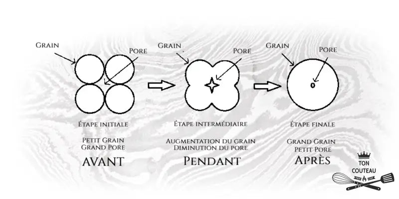 Principes de Base du Frittage avec agrandissement des grains et reduction du pore