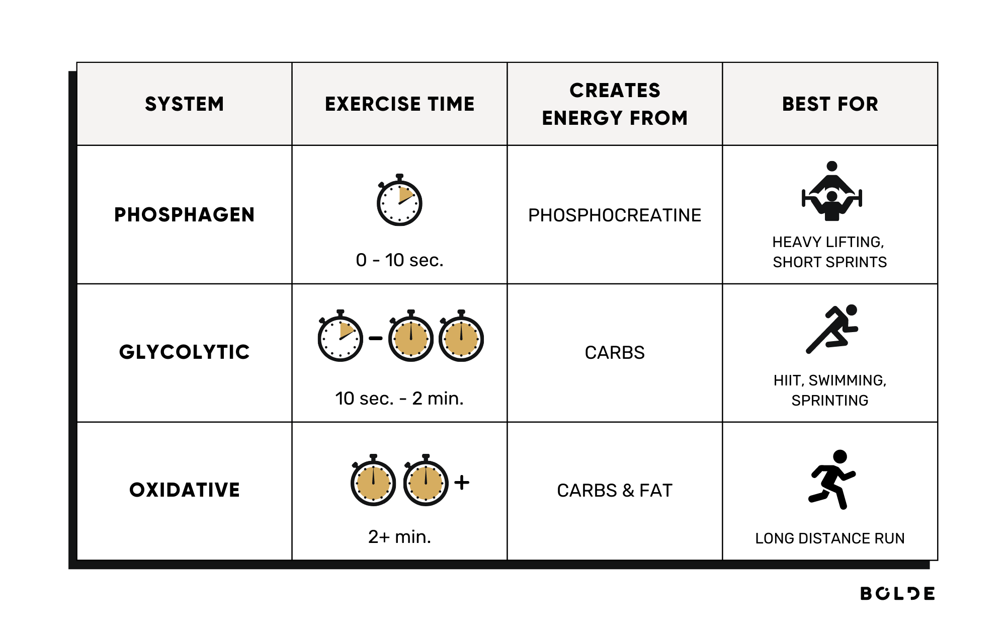 Energy Systems of the Human Body and their Applications