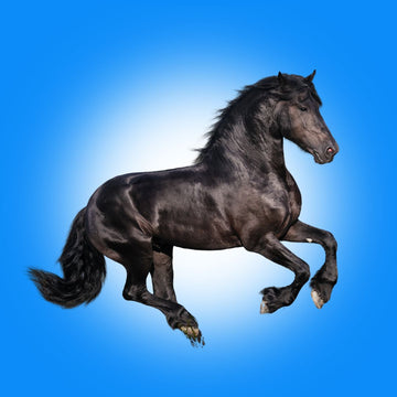 Horse Rezzipe.jpg__PID:7b4a7527-e6d7-4bc1-bc66-894a98b709f8