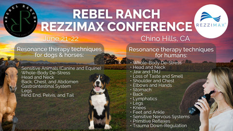 Rebel Ranch Conference 2024 (1920 x 1080 px).jpg__PID:04dfbc7e-9a8f-4a80-b042-c3192436bde3