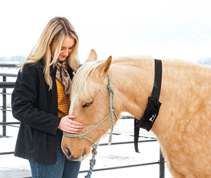 equine_therapy.jpg__PID:b0e128fa-00d2-46ba-82ad-c9036d1902a8