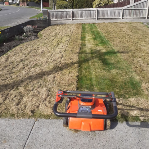 Scarifier Small Lawn