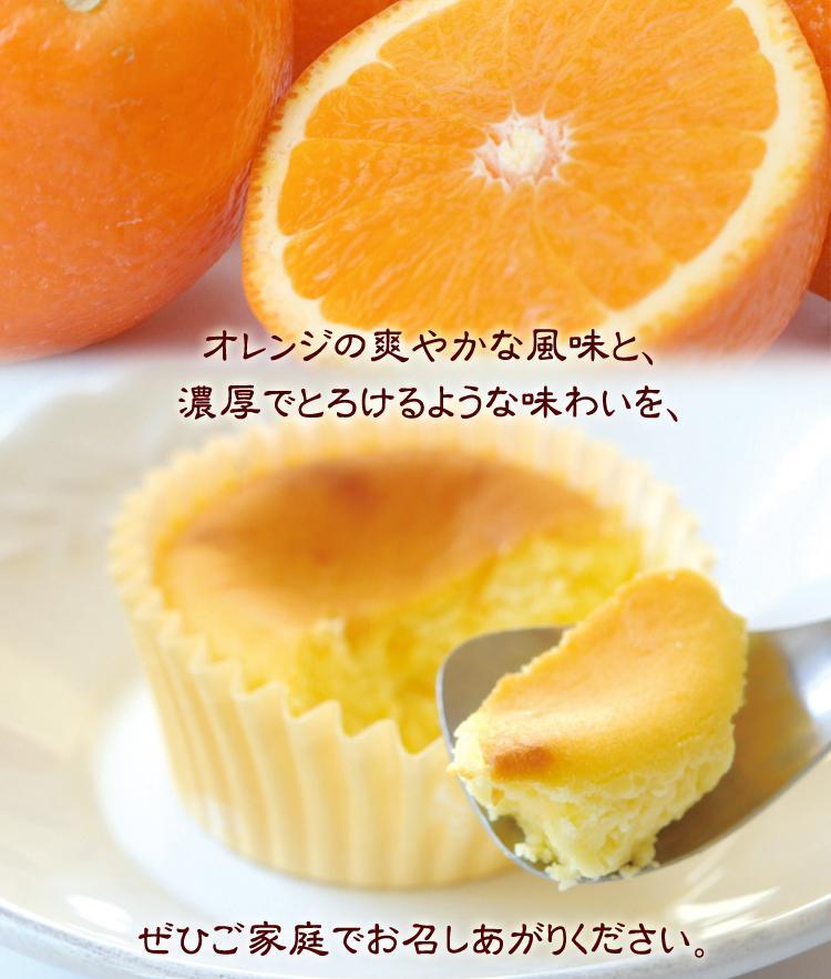 風見鶏チーズケーキオレンジ