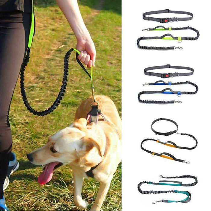 handsfree bungee dog leash