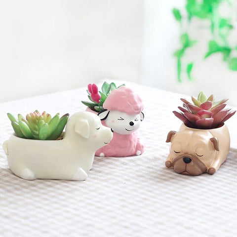 Dog Succulents Flower Pot