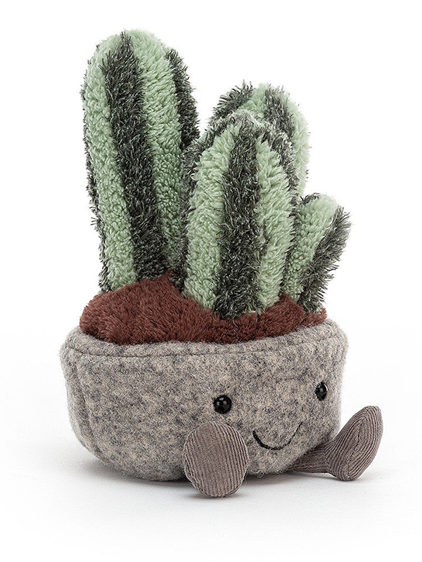 Silly Succulent: Columnar Cactus