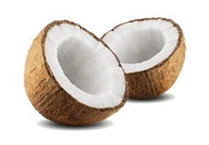 Coconut