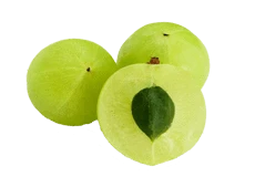 Indian Gooseberry (Amalaki)