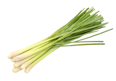 Lemongrass
