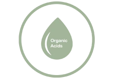 Organic Acids
