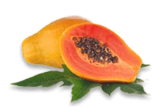 Papaya
