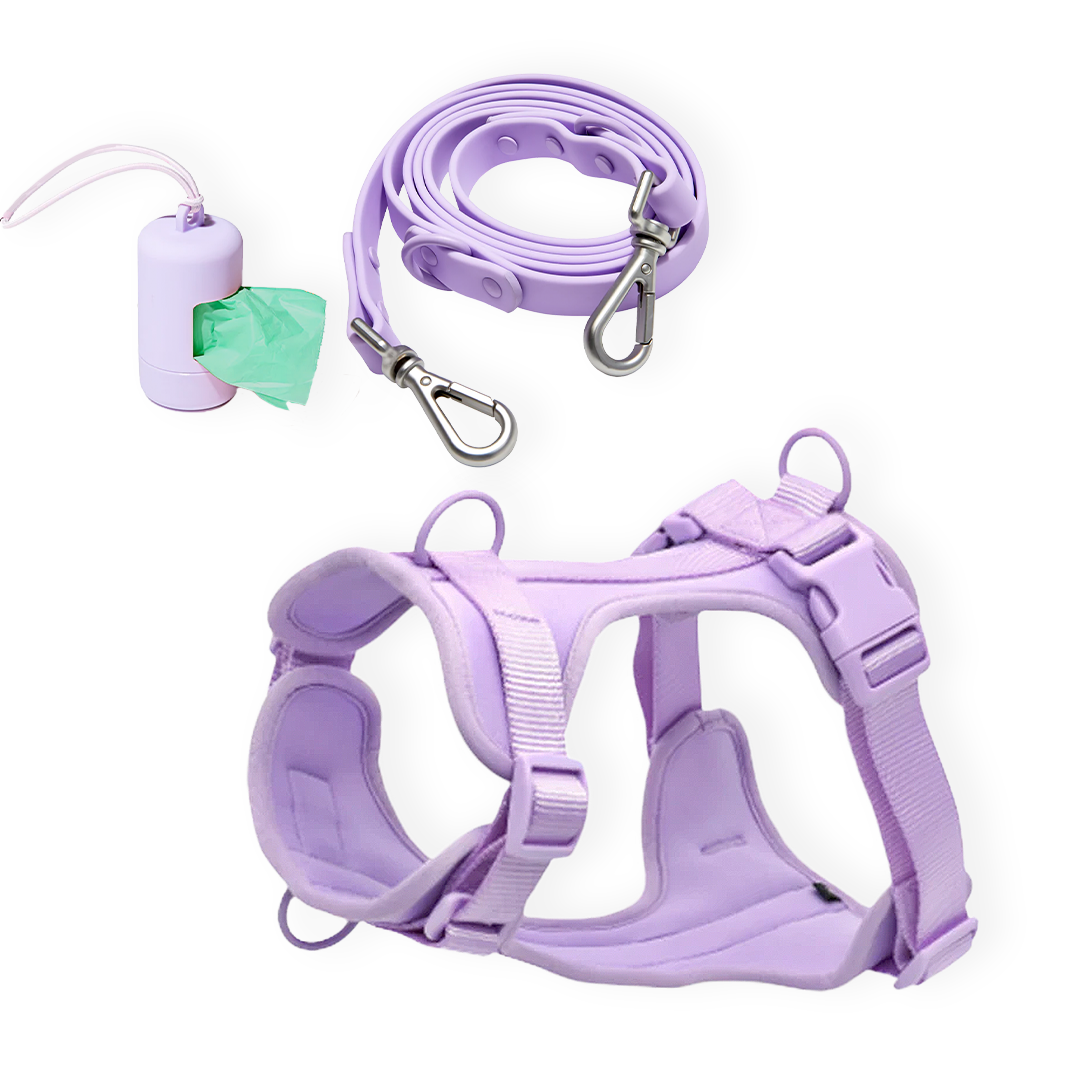 Coco & Bark Harness Walk Kit - Coco and Bark product image