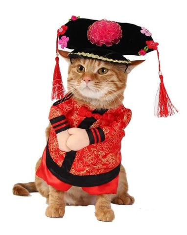Costume Pour Chat Chat Bada