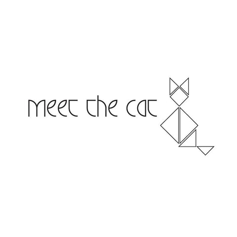 meet the cat