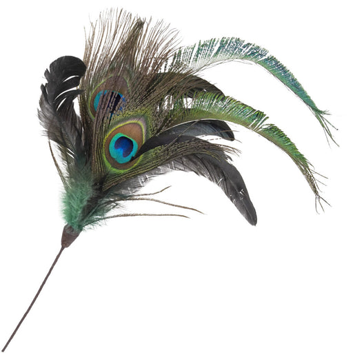 Peacock Feather Best Quality at Rs 700/pack
