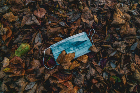 mask in leaves, lockdown