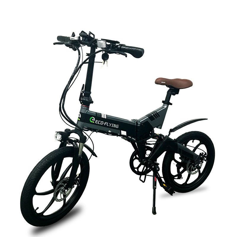 eco electric bike