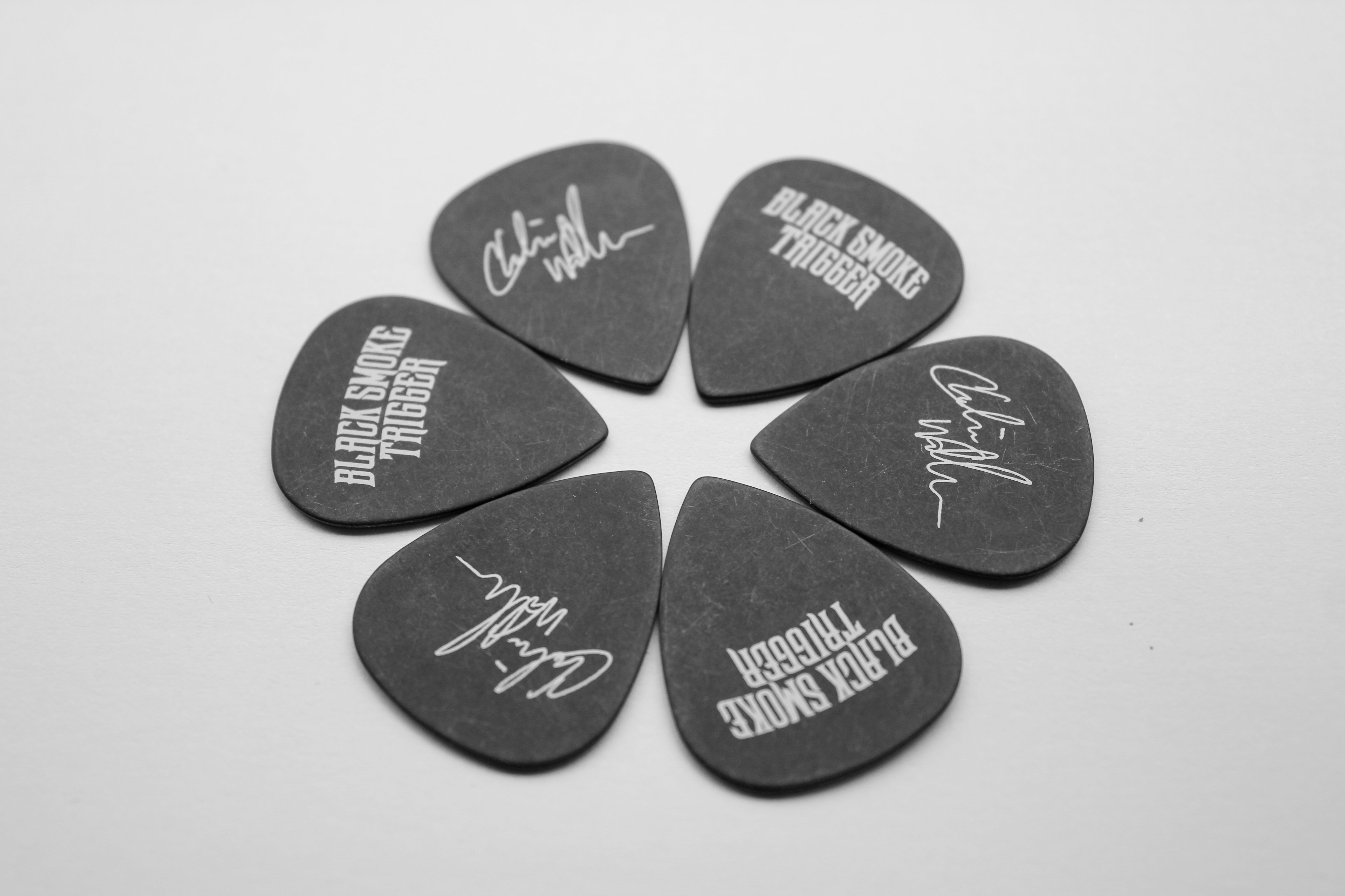 custom printed dunlop guitar picks